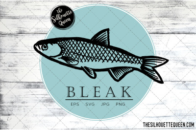 Hand drawn, Sketched Bleak Fish Vector