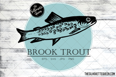 Hand drawn&2C; Sketched Brook Trout Fish Vector