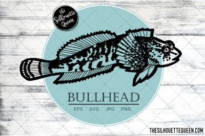 Hand drawn, Sketched BullHead Fish Vector