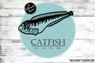 Hand drawn&2C; Sketched Catfish Fish Vector