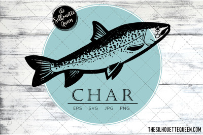 Hand drawn, Sketched Char Fish Vector