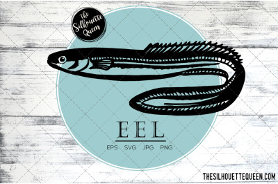 Hand drawn, Sketched Eel Fish Vector