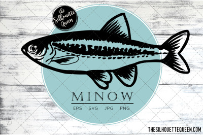 Hand drawn, Sketched Minnow Fish Vector