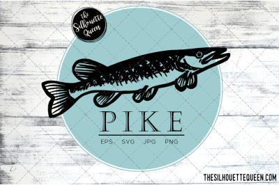 Hand drawn, Sketched Pike Fish Vector