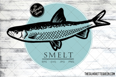 Hand drawn, Sketched Smelt Fish Vector