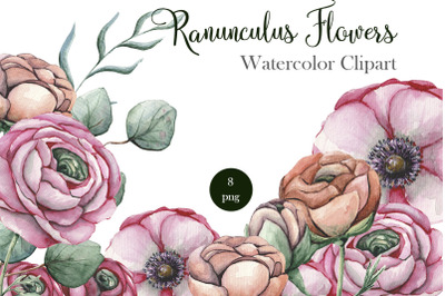 Ranunculus floral watercolor clipart