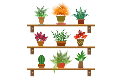 Office plants on shelves