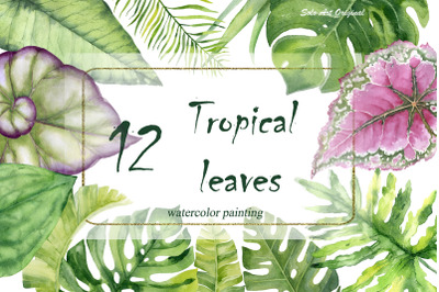 Tropical leaves Monstera Palm Banana Greenery leafy Clipart element pn