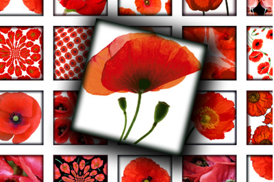 Digital Collage Sheet - Red Poppies