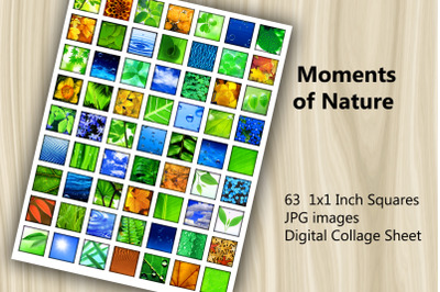 Digital Collage Sheet - Moments of Nature