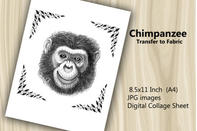 Transfer to Fabric Sheet - Chimpanzee