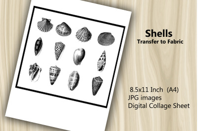 Transfer to Fabric Sheet - Shells