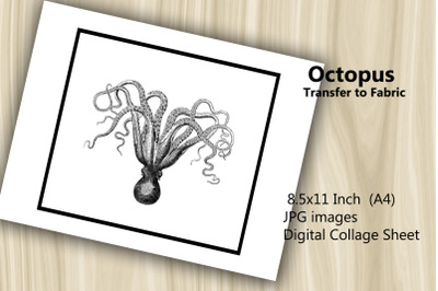 Transfer to Fabric Sheet - Octopus