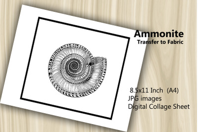 Transfer to Fabric Sheet - Ammonite