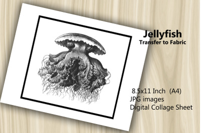 Transfer to Fabric Sheet - Jellyfish