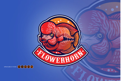 Flowerhorn fish esport logo mascot