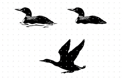 Loon SVG clipart