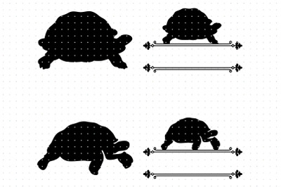 Tortoise and turtle SVG clipart