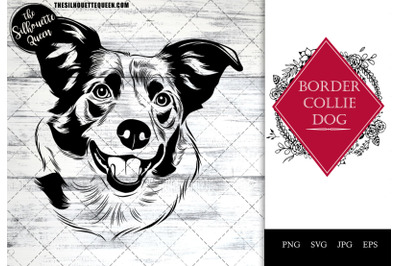 Border Collie  Dog Funny Head vector