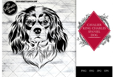 Cavalier King Charles Spaniel  Dog Funny Head vector