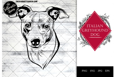 Italian Greyhound  Dog Funny Head vector