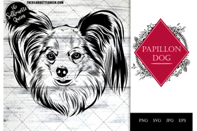 Papillon  Dog Funny Head vector