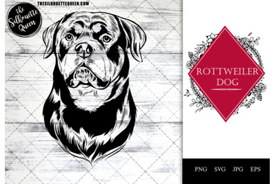 Rottweiler  Dog Funny Head vector