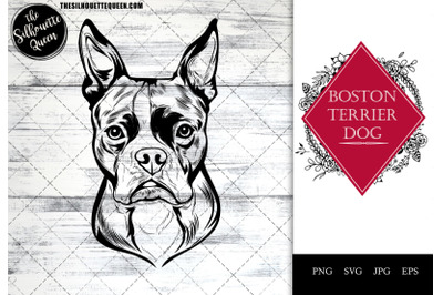 Boston Terrier  Dog Funny Head vector