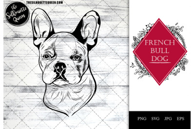 French Bulldog  Dog Funny Head vector