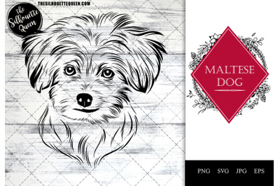 Maltese  Dog Funny Head vector