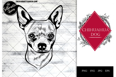 Chihuahua  Dog Funny Head vector