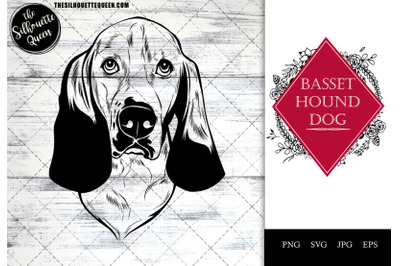 Basset Hound  Dog Funny Head vector