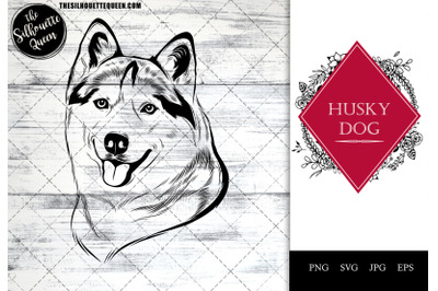 Husky  Dog Funny Head vector