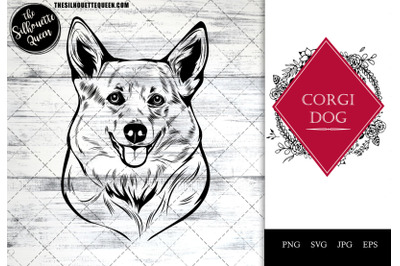 Corgi  Dog Funny Head vector