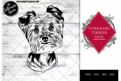 Yorkshire Terrier  Dog Funny Head vector