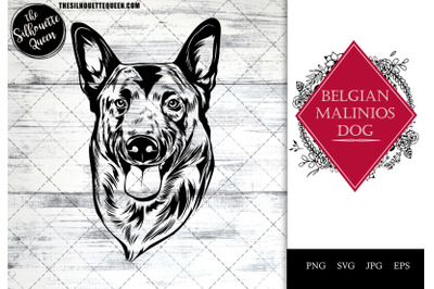 Belgian Malinios  Dog Funny Head vector