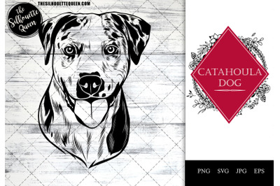 Catahoula  Dog Funny Head vector