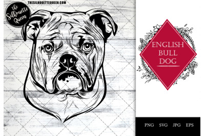 English Bulldog  Dog Funny Head vector