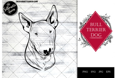 Bull Terrier  Dog Funny Head vector