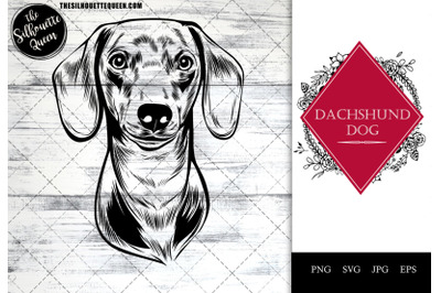 Dachshund  Dog Funny Head vector