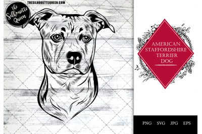 American Staffordshire Terrier  Dog Funny Head vector