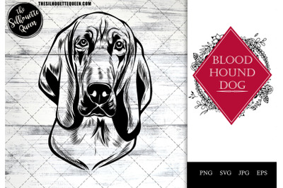 Blood Hound  Dog Funny Head vector