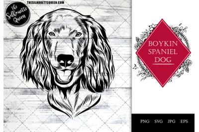 Boykin Spaniel  Dog Funny Head vector