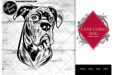 cane corso  Dog Funny Head vector