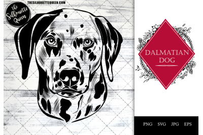 dalmatian  Dog Funny Head vector