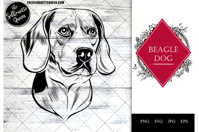 Beagle  Dog Funny Head vector