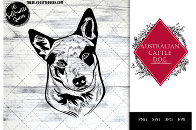 Australian Cattle Dog  Dog Funny Head vector