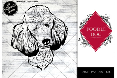 Poodle  Dog Funny Head vector