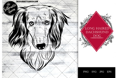 long haired dachshund  Dog Funny Head vector