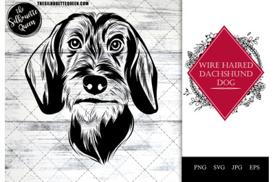 wire haired dachshund  Dog Funny Head vector